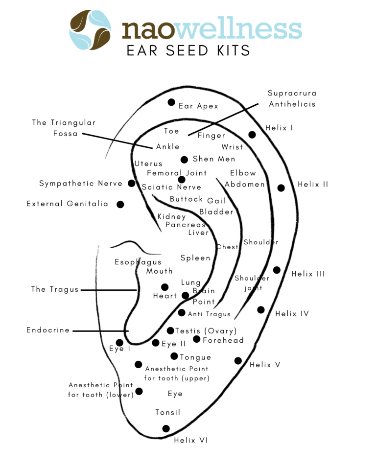 Ear Seeds: Your Secret Weight Loss Tool